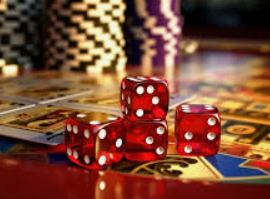 娱乐星空下载app2024最新版